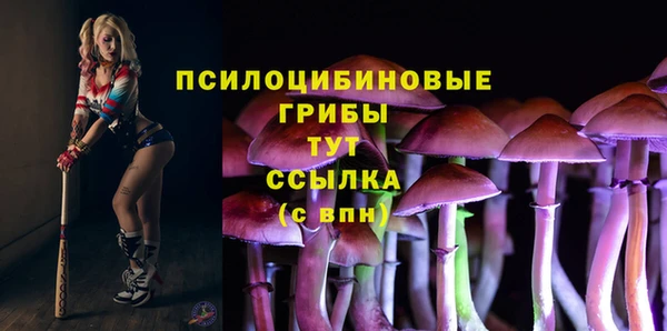 прущая мука Кукмор