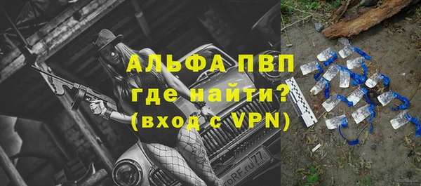 крисы Лагань