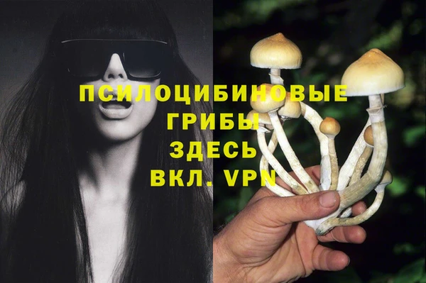 PSILOCYBIN Куйбышев
