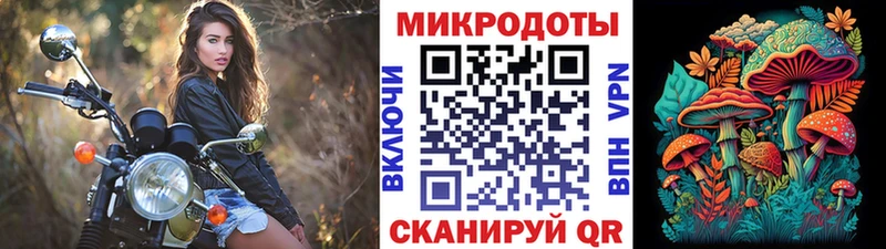 Псилоцибиновые грибы Psilocybe  Тутаев 