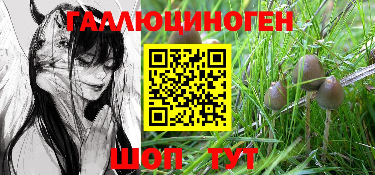 Галлюциногенные грибы Cubensis Тутаев