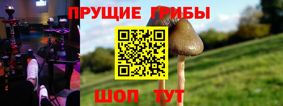 Галлюциногенные грибы Psilocybine cubensis  Галлюциногенные грибы мицелий  Тутаев  Вход с VPN 